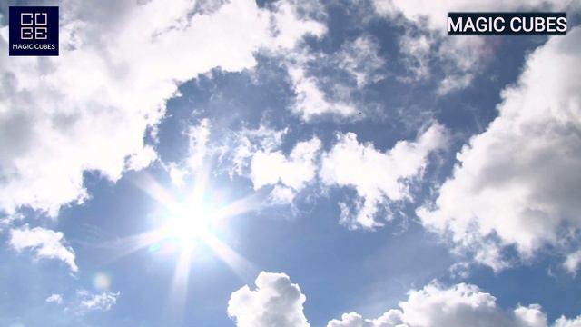 Syngonium Plant Care | Low Maintenance Indoor Plants | Best Indoor Plants | Syngonium Plant