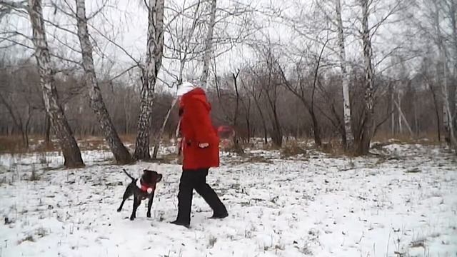 Тренировка на снегу стаффи смотреть онлайн