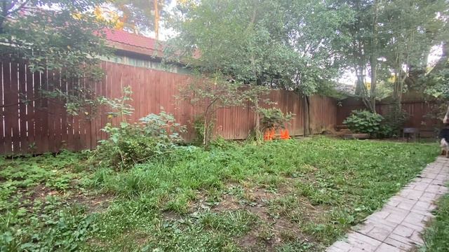 Разворот в движении обходом (2 раз пробуем) смотреть онлайн