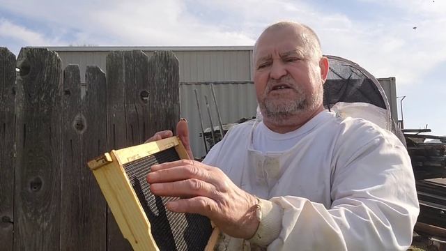 смотрим семьи не точке который привезли первым и о пластиковой вощине смотреть онлайн