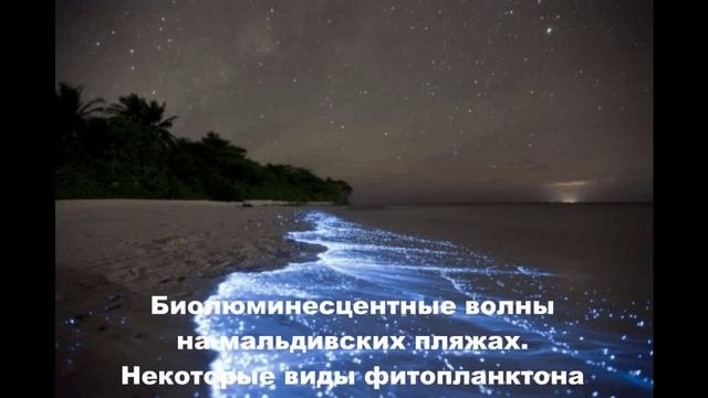 Самые необычные явления природы КЛАСС / The most unusual natural phenomena CLASS смотреть онлайн