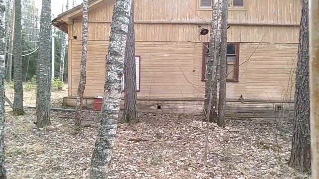 Заброшенные детские дачи от завода Сокол смотреть онлайн