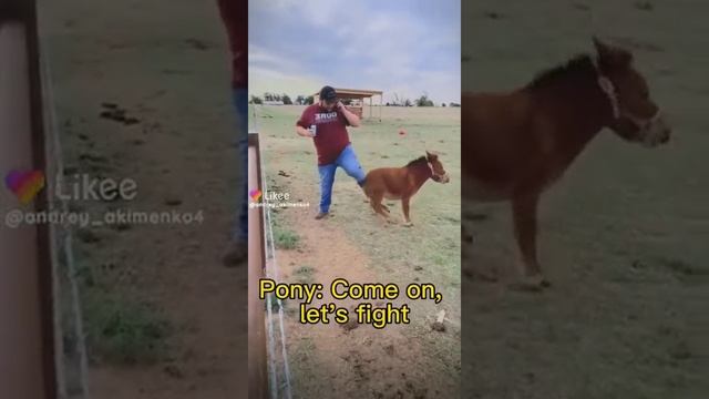 дай похмелиться смотреть онлайн