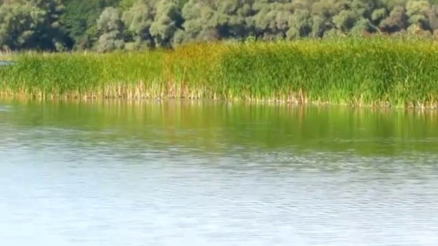 Видеосопровождение к песне Родной край смотреть онлайн