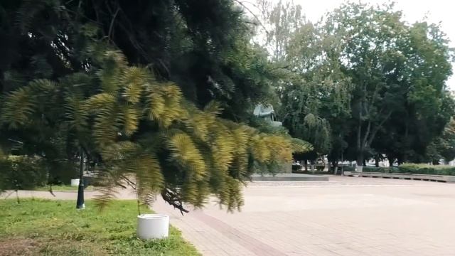 Тверь. Прогулка по городу. Russia. Tver. смотреть онлайн