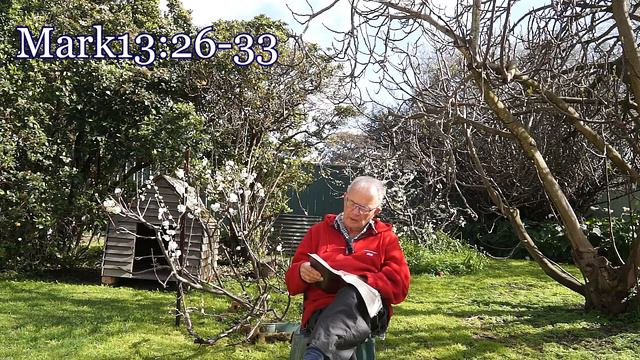 Lessons From A Fig Tree смотреть онлайн