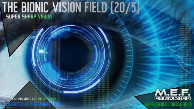 The Bionic Vision Field [20/5] смотреть онлайн