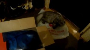 сборка и установка усиленных кулаков на ниву