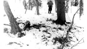 Гибель группы Дятлова рассекретили