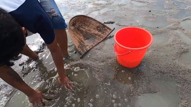 Amazing Result With Beautiful Axolotl Salamander | Found Blood Parrot KOI Oranda Ranchu Black Moor смотреть онлайн