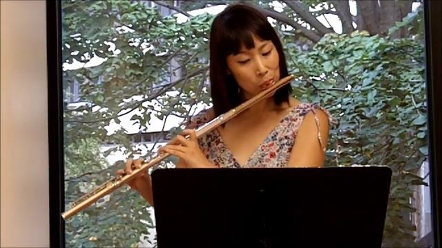 Flute Toot-orial: Etude in d minor (Andersen, Carl Joachim 1847-1909) (LMEA Set IV 4, ASBOA Set II смотреть онлайн