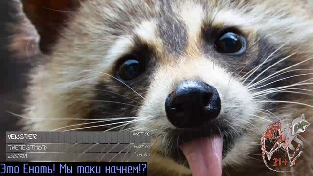 Внезапнострим ВнезапноЕнота) Тетстим инет №2(часть 2) смотреть онлайн