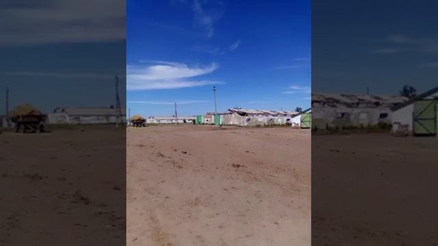 СОВХОЗ К НОЛЮ ЧИТАЙ КОМЕНТАРИИ. смотреть онлайн