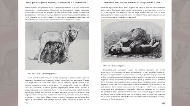 Часть 16 из 16. Перевод книги Макса фон Штефаница Немецкая овчарка в описании с иллюстрациями Гл 3