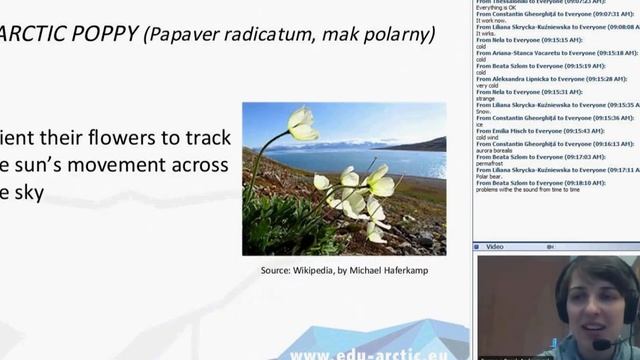 Arctic tundra adaptations of plants to the climate смотреть онлайн