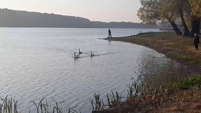 Воскрестный пикник в Круглике смотреть онлайн