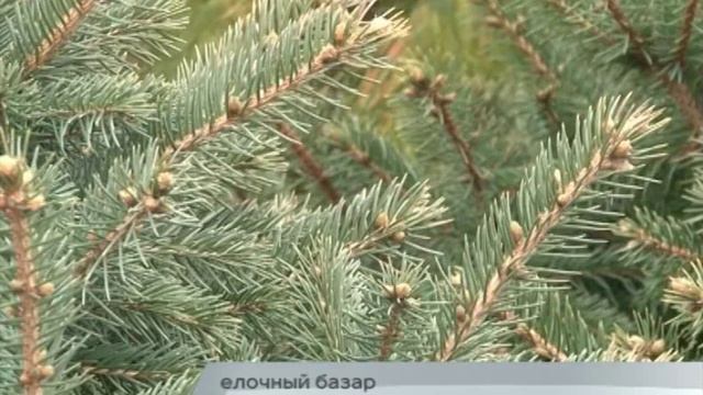 14-12-15 - Елочный базар смотреть онлайн