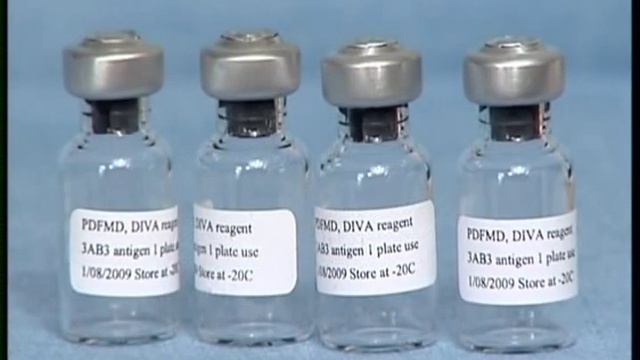 Combating FMD смотреть онлайн
