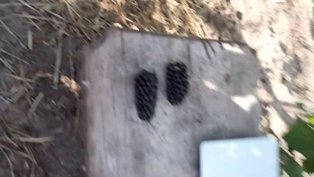 Ожина Натчез і Лох Тей смотреть онлайн