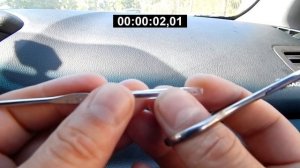 самый бюджетный в мире узловяз