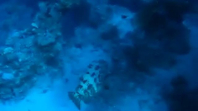 UW Quality 1 - Canon Powershot A70