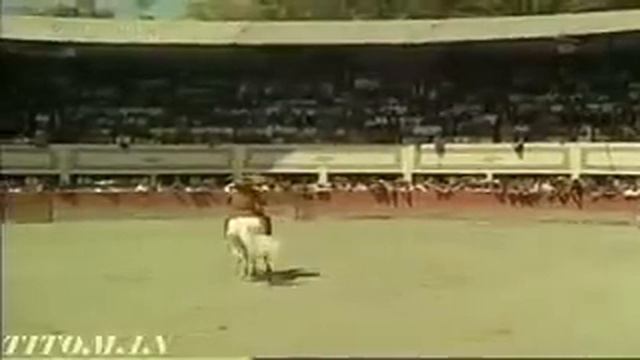 Por El Amor A Mi Madre Antonio Aguilar смотреть онлайн