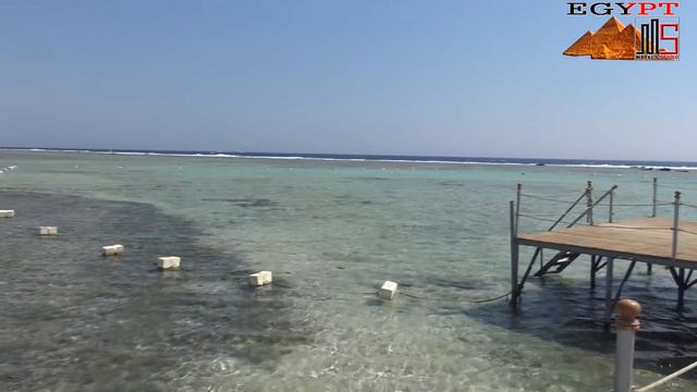 Египет.  Шарм-Эль Шейх. Royal Albatros Moderna- Встречай!