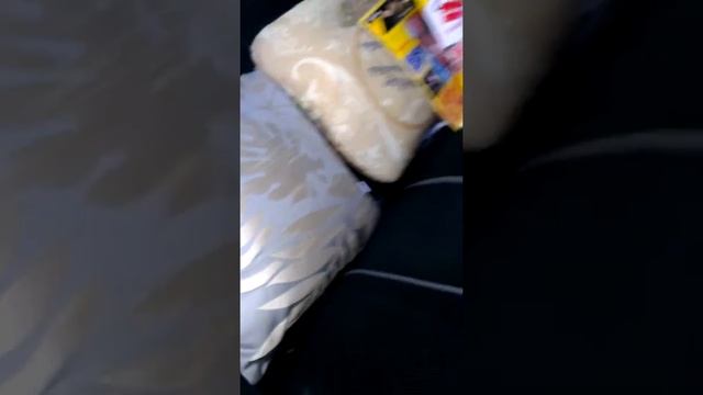 VIDEO0182 смотреть онлайн
