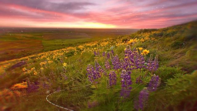 Самая Нежная Гитарная Музыка Без Слов 2018 Для Сна и Отдыха #RMT