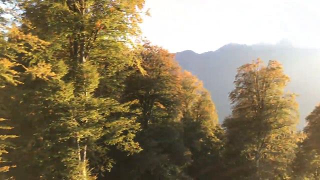 Красная поляна. Природа осенью смотреть онлайн