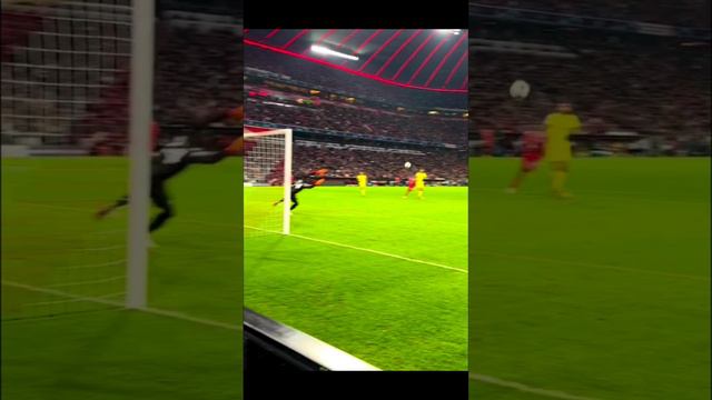 Шикарный гол Эрика Шупо-Мотинг смотреть онлайн
