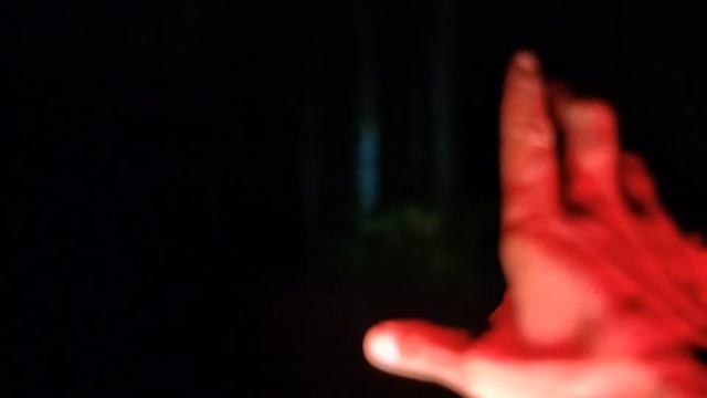 LIVE MISTERI || HUTAN ANGKER DI HUNI KAKEK MISTERIUS смотреть онлайн
