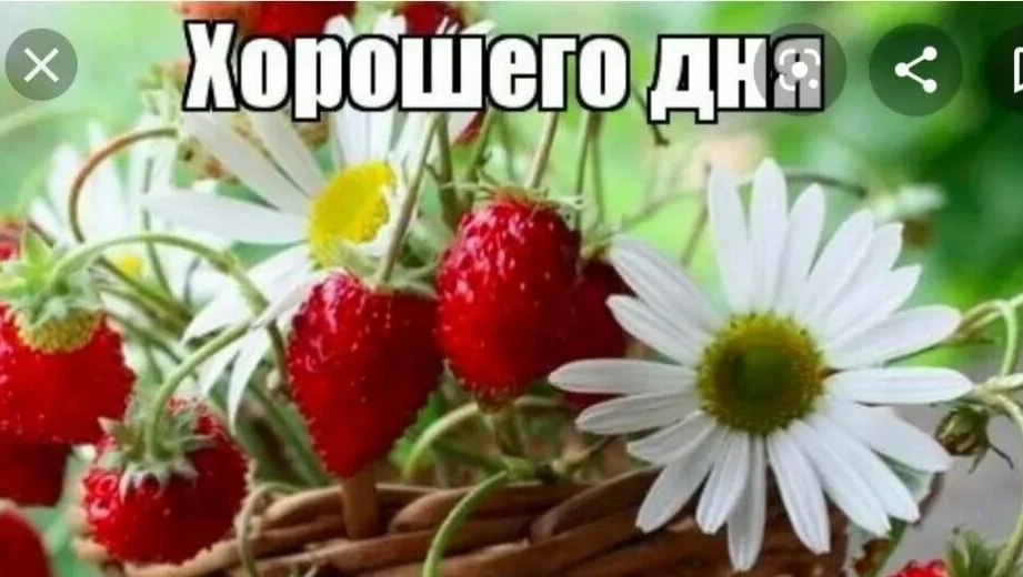Хорошего дня.