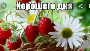 Хорошего дня.