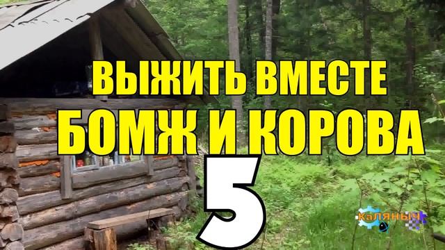 0900 - ВЫЖИВАНИЕ БОМЖА _ ВЫГНАЛА ЖЕНА _ КОРОВА РОДИЛА ТЕЛЕНКА 5 из 5.mp4 смотреть онлайн