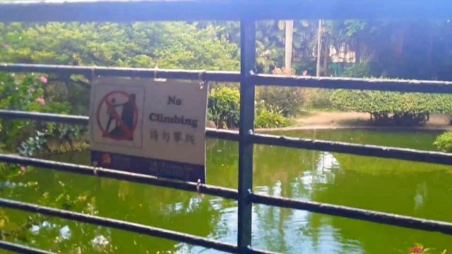 Kowloon park, Hong Kong смотреть онлайн