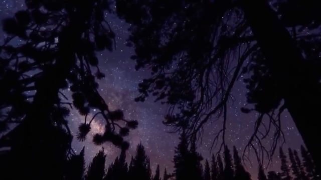 Space ASMR | Facts About Our Universe Part 2 смотреть онлайн