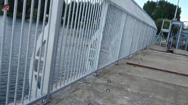 шампиньоны смотреть онлайн