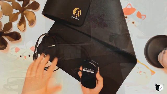 Wicked Bunny Rapid RGB Mouse | Unboxing and Review смотреть онлайн