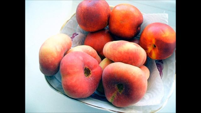 ПРОШУ К СТОЛУ. Кухонные "натюрморты" смотреть онлайн