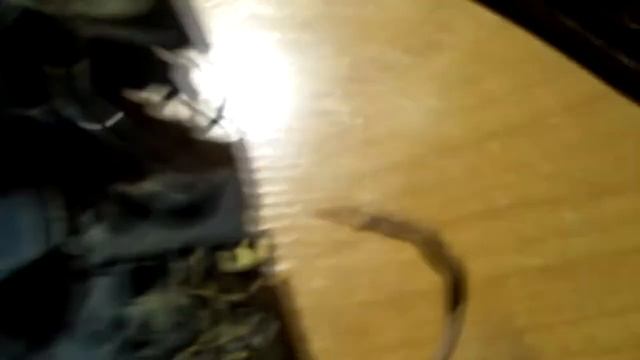 Перфоратор "Диолд ПРЭ-5" Не включается или включается через раз. Причина и ремонт. смотреть онлайн