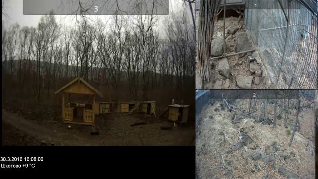 Архив веб-камер в Парке Амура и Тимура за 30.03.2016 смотреть онлайн