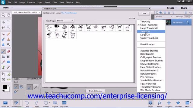 Adobe Photoshop Elements 12 Tutorial Painting Tools Employee Group Training 6.2 смотреть онлайн
