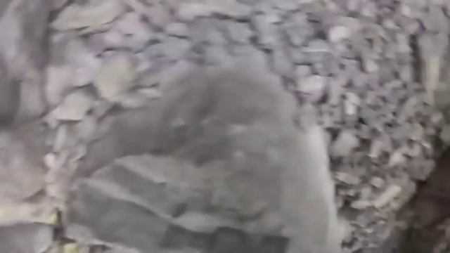 Climbing Pilot Rock смотреть онлайн