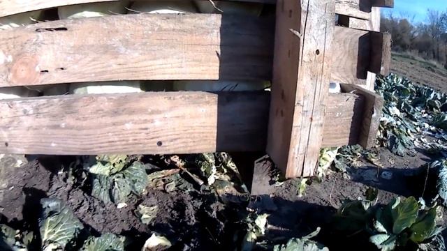 Контейнеры для капусты из поддонов смотреть онлайн