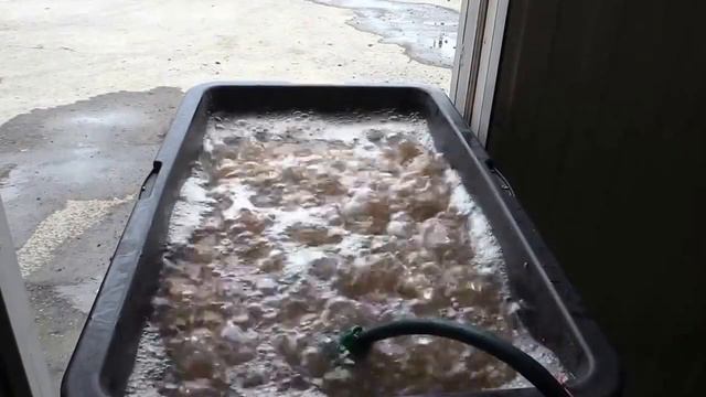 Fodder system from of Sergei Gazetov. Version 1. Part 2. Preparation of grain. смотреть онлайн