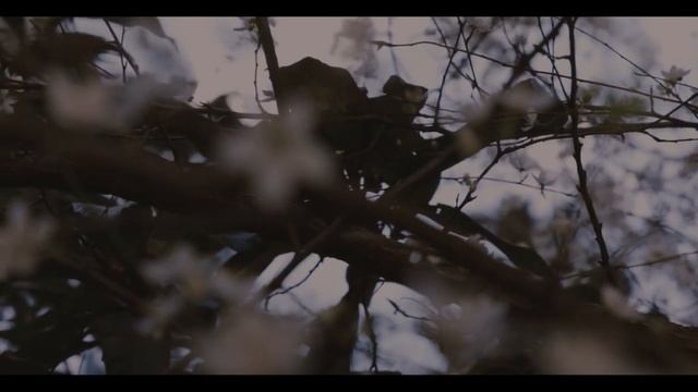 Китайская Народная Мудрость. Ч.6 | Конфуций | Мудрость Которая Даёт Силу смотреть онлайн