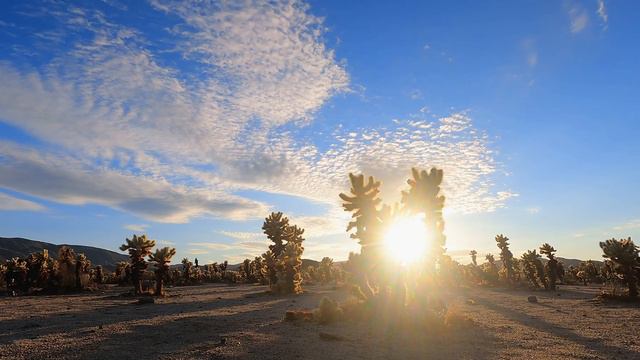 Contemplative Meditation | Desert Natural смотреть онлайн