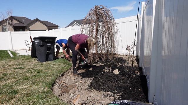 NEW FLOWER GARDEN | DESIGNING A FULL SUN FLOWER GARDEN | KILL THE GRASS WITH CARDBOARD | EDGING смотреть онлайн