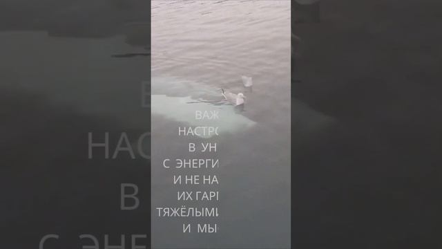 28 лунные сутки "Вы могущественный творец" смотреть онлайн